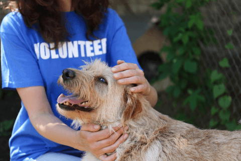 charities-banner